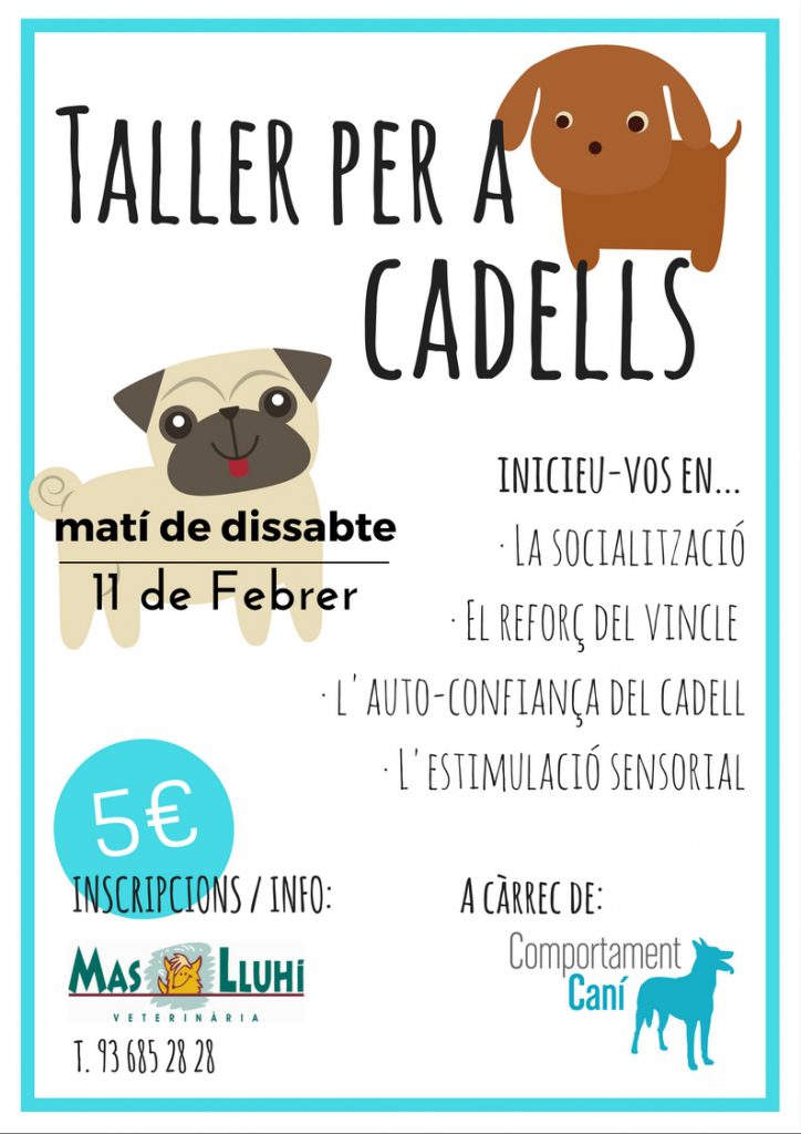 Taller per a cadells